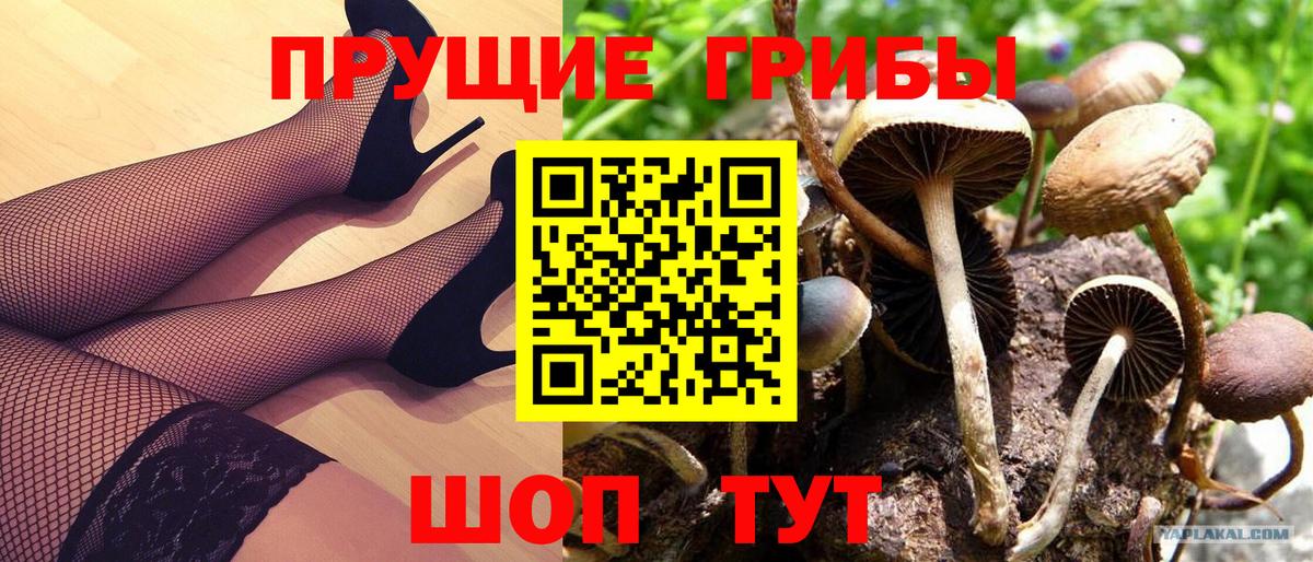 Заинск  Галлюциногенные грибы мухоморы  Вход с VPN 